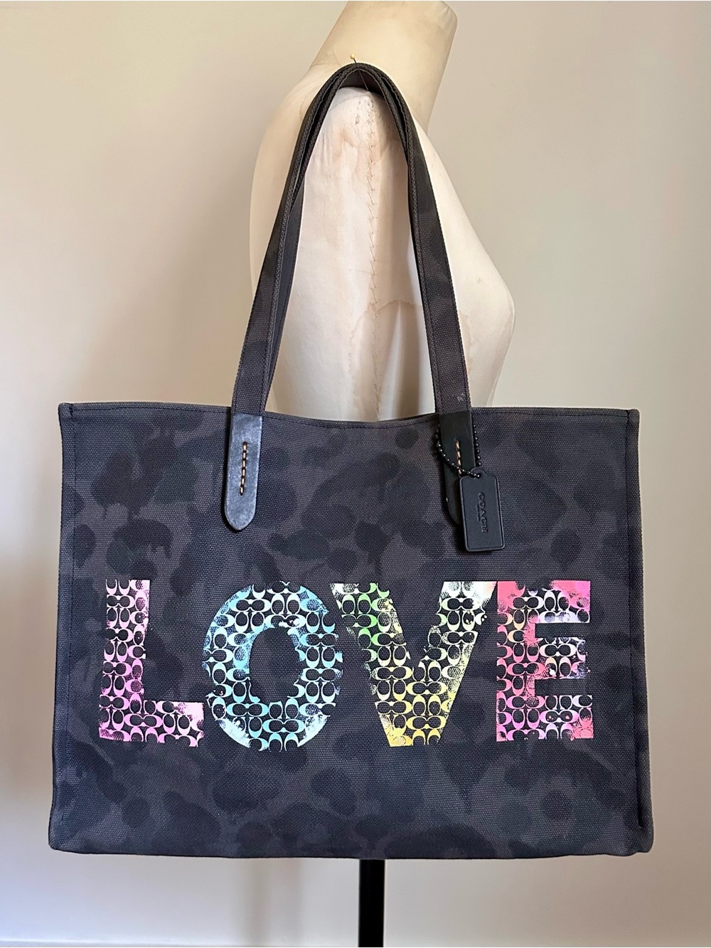 Coach LOVE Canvas Jason Naylor Tote 42 Camo Unisex FW18 Collection Rainbow